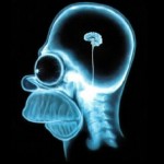 Cerveau d'Homer Simpson